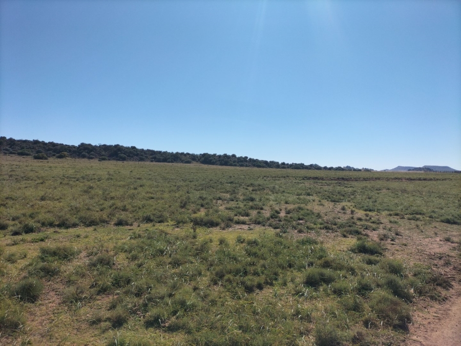 4 Bedroom Property for Sale in Bloemfontein Rural Free State